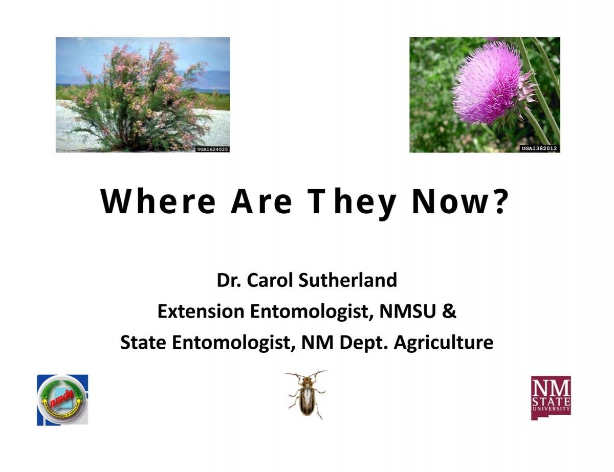 Where Are They Now? Catching Up With Familiar Faces